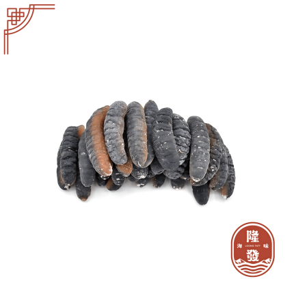 PNG Sandfish 150-170pcs 新几内亚金沙参 150-170支